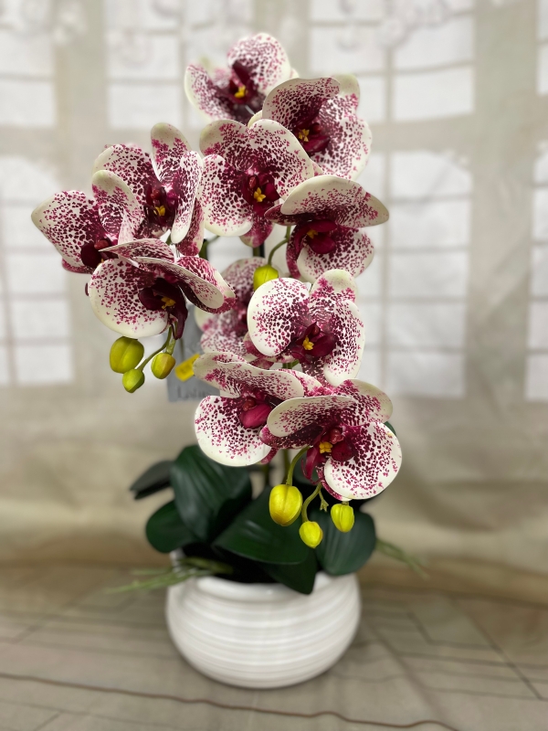 Orchid Plant Artificial buy online or call 01452 332203