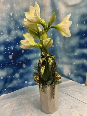 Amaryllis Arrangement