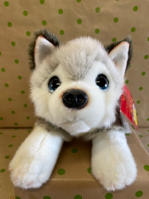 Husky puppy 32cm