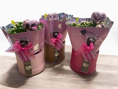 Kalanchoe Hatbox