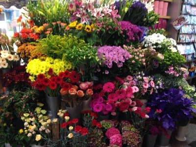 Mothers Day florist choice BQ