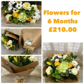 Flowers for 6 months