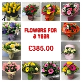 Flowers for a Year
