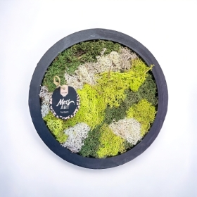 Moss Wall Art