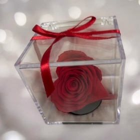 Preserved heart rose