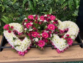 Triple Heart
