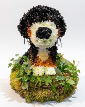 Dog   3D