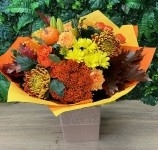 4.Autumn Glow