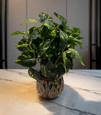 Variegated Artificial Plant.