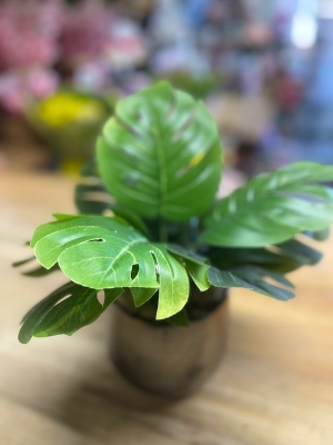 Artificial Monstera Plant