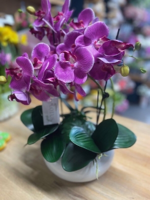 Artificial Orchid