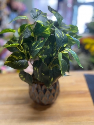 Variegated Artificial Plant
