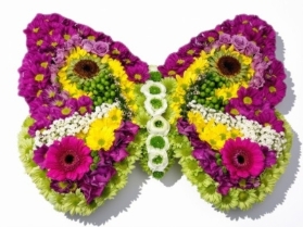 Butterfly.