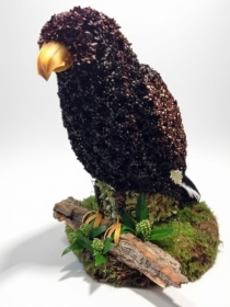 Bird of Prey.