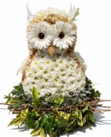 Owl.
