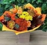 4.Autumn Glow