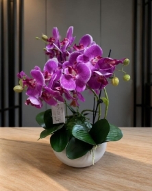 Artificial Orchid.