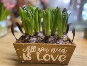 All you need is Love