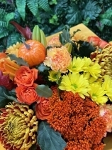 4.Autumn Glow