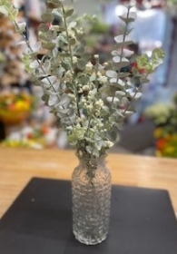 Silk Eucalyptus Vase